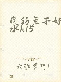 我的兔子好多软水h15