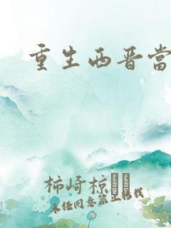 重生西晋当太子