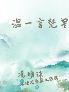 温一言梵星小说
