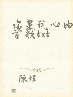 你是我心内的一首歌txt