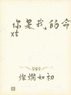 你是我的命运txt