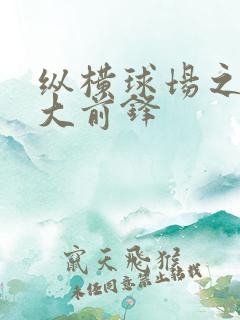 纵横球场之暴力大前锋