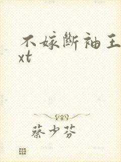 不嫁断袖王爷txt