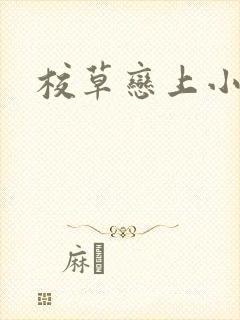 校草恋上小丫头