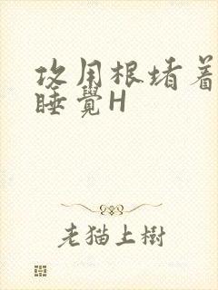 攻用根堵着小受睡觉H