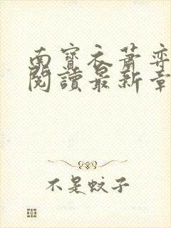 南宝衣萧弈免费阅读最新章节