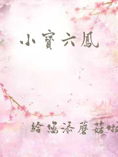 小宝六凤