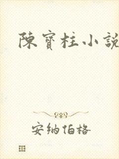 陈宝柱小说