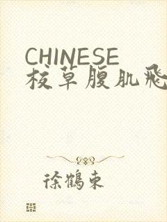 CHINESE校草腹肌飞机视频