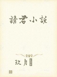 请君小说