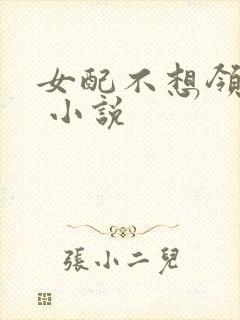 女配不想领便当 小说