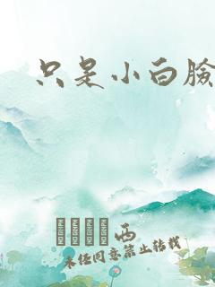 只是小白脸