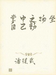 掌中之物坐上来自己动