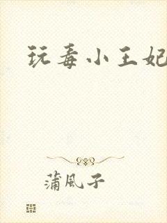 玩毒小王妃