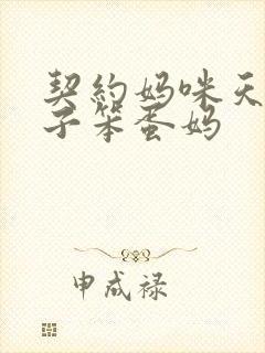 契约妈咪天才儿子笨蛋妈