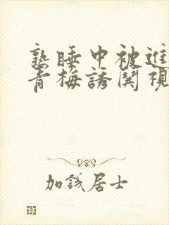 熟睡中被进了H青梅诱哄视频