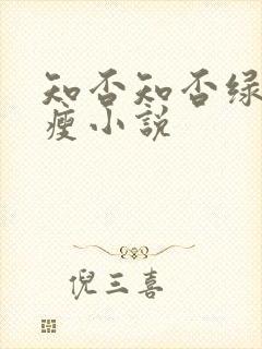 知否知否绿肥红瘦小说