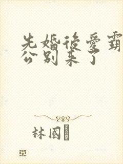 先婚后爱霸道老公别来了