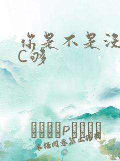 你是不是没有被C够