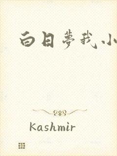 白日梦我小说
