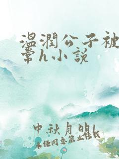 温润公子被脔日常h小说