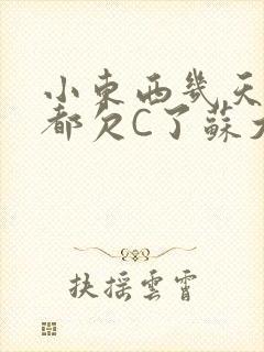 小东西几天没做都欠C了苏大深