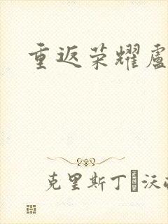 重返荣耀卢正雨