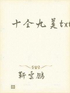 十全九美txt