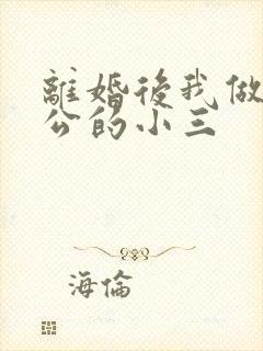 离婚后我做了老公的小三