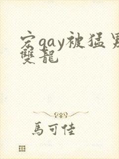 宏gay被猛男双龙