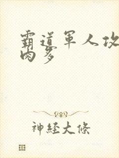 霸道军人攻现代肉多