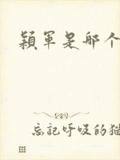 颖军是哪个军阀