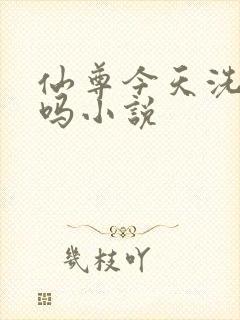 仙尊今天洗白了吗小说