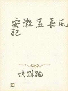 安徽区长风流日记