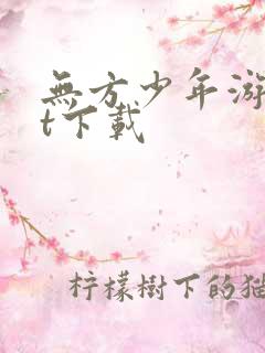 无方少年游txt下载