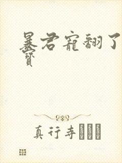 暴君宠翻了小娇宝