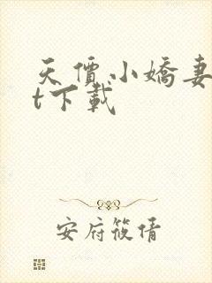 天价小娇妻txt下载