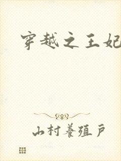 穿越之王妃有孕