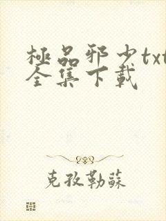 极品邪少txt全集下载