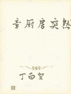 章厨房突然挺入