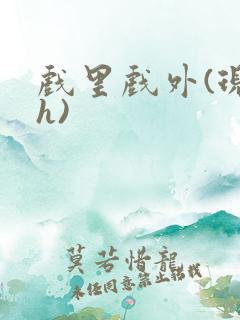 戏里戏外(现场h)