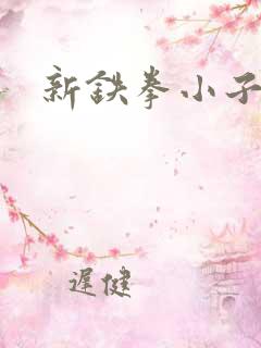新铁拳小子
