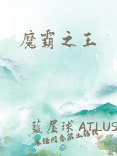 魔霸之王
