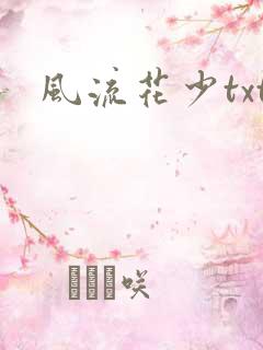 风流花少txt