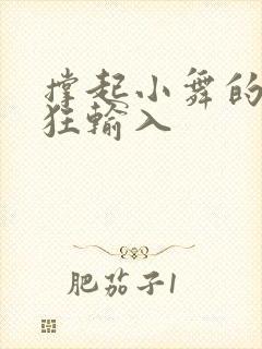 撑起小舞的腿疯狂输入