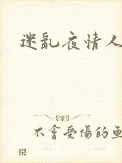 迷乱夜情人