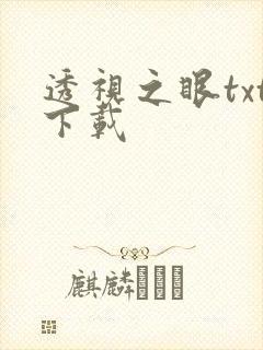 透视之眼txt下载