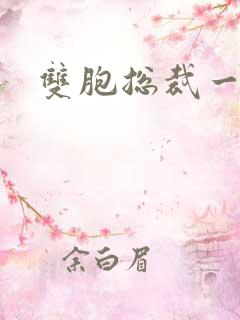 双胞总裁一个妻