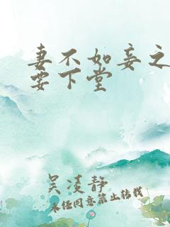 妻不如妾之夫人要下堂