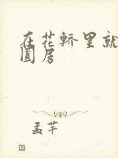 在花轿里就开始圆房